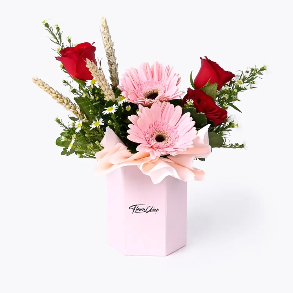 Birthday Bash Gift Bundle - Image 6