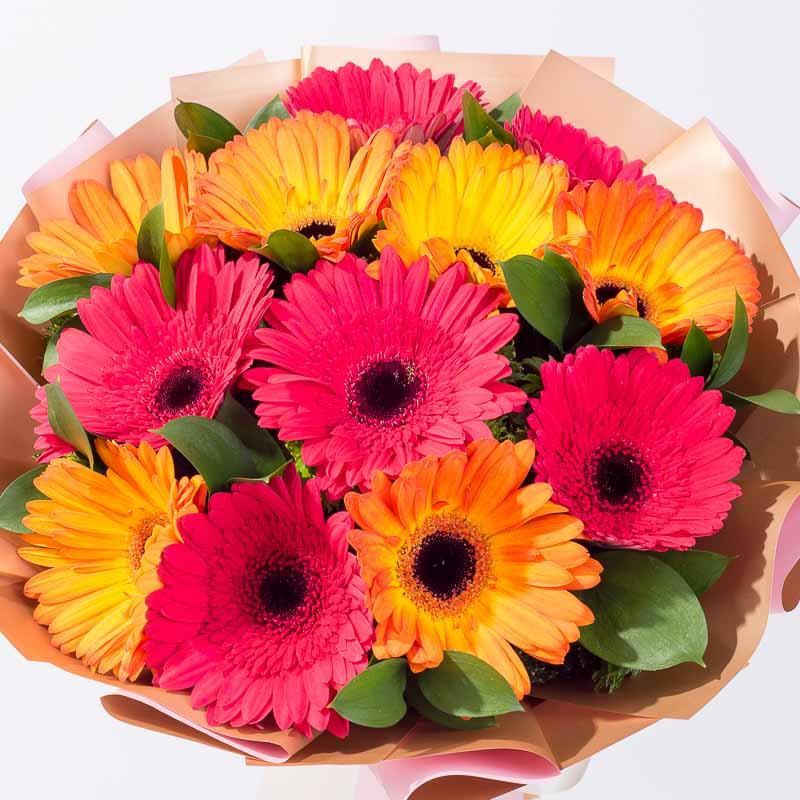 Gerbera Galore - Image 3