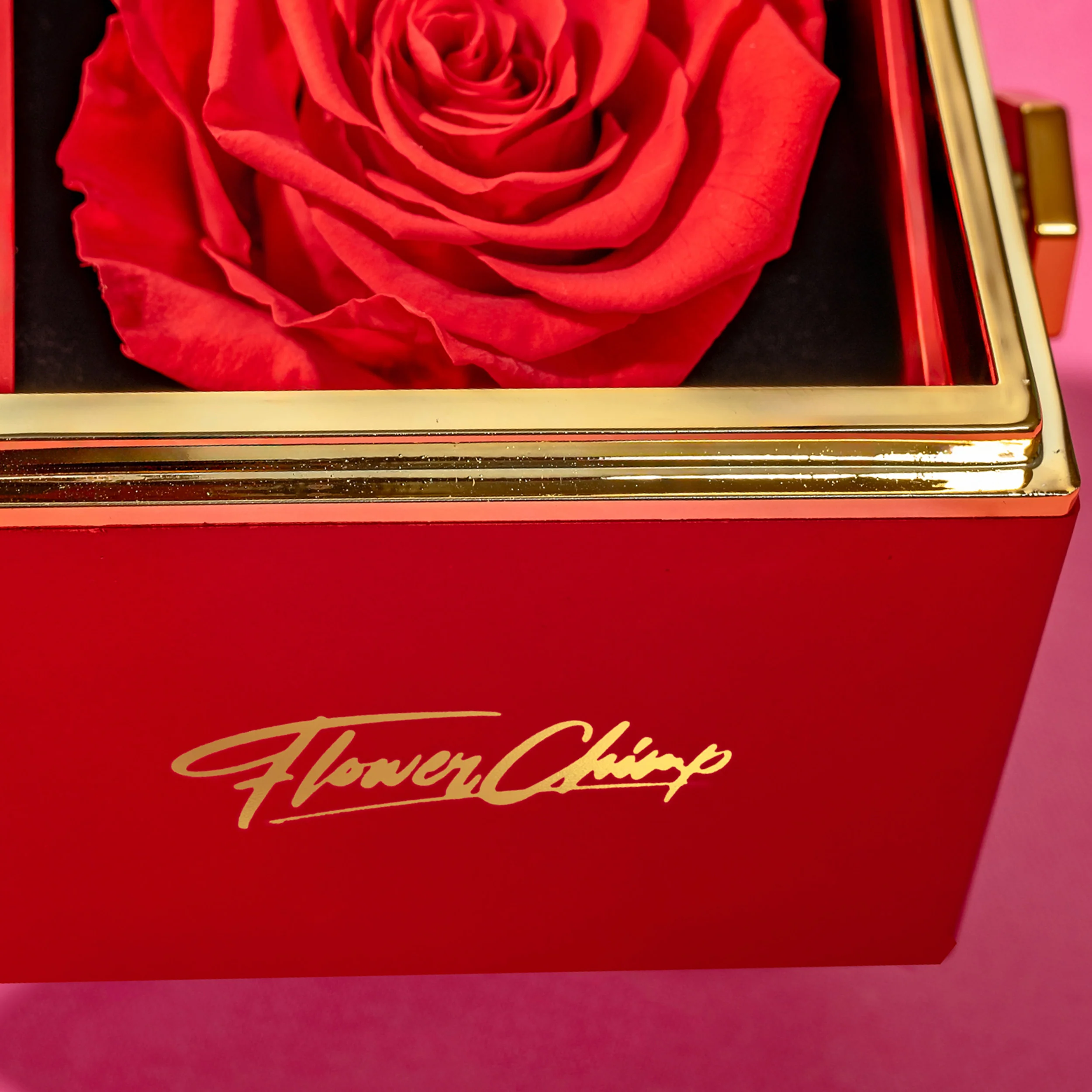 Timeless Rose Jewelry Box - Image 4